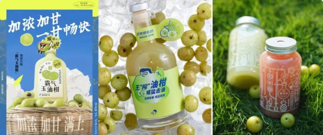 解困功能草本，捕捉國潮養(yǎng)生浪潮